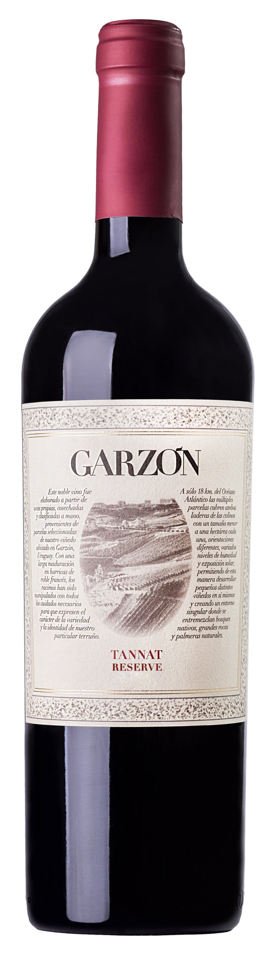 Garzon Reserva Tannat